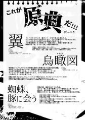 サンプル画像 No.6