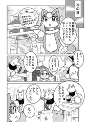 サンプル画像 No.3