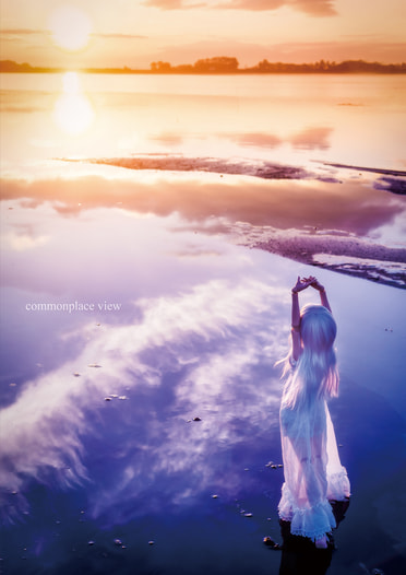 commonplace view