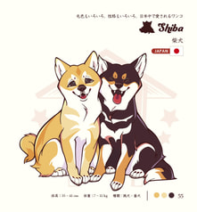 サンプル画像 No.5