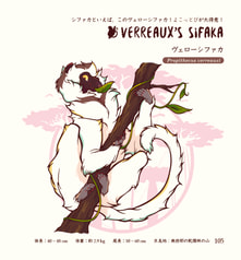 サンプル画像 No.5
