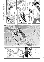 サンプル画像 No.4