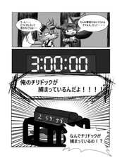 サンプル画像 No.1