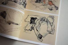 サンプル画像 No.6