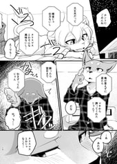 Sample No.2