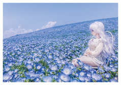サンプル画像 No.2