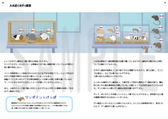 サンプル画像 No.6