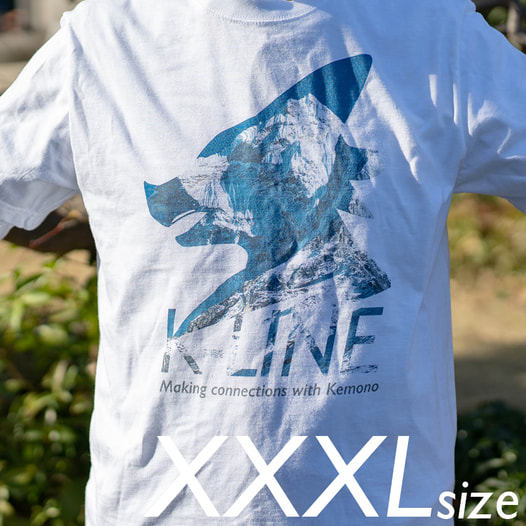 K-LINE T-shirt 2019 (XXXL size)