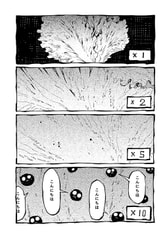 サンプル画像 No.2