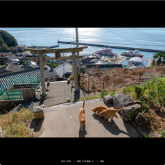 サンプル画像 No.3