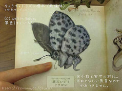 サンプル画像 No.1