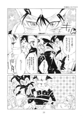 Sample No.4