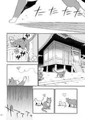 Sample No.1