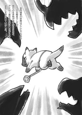 サンプル画像 No.2
