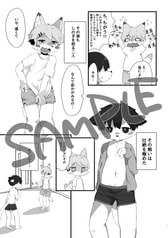 Sample No.2
