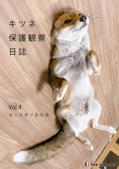「キツネ写真集」キツネ保護観察日誌 Vol.4 -ホンドギツネの令-
