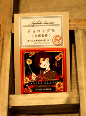 サンプル画像 No.1