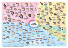 げっ歯目見取り図ポスター2026