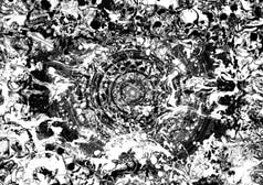 サンプル画像 No.5