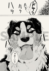 サンプル画像 No.3