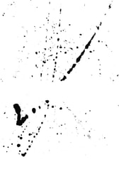サンプル画像 No.5