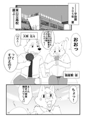 Sample No.6