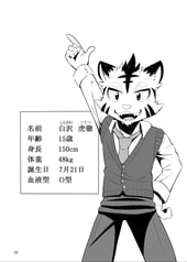 Sample No.3