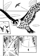 サンプル画像 No.5