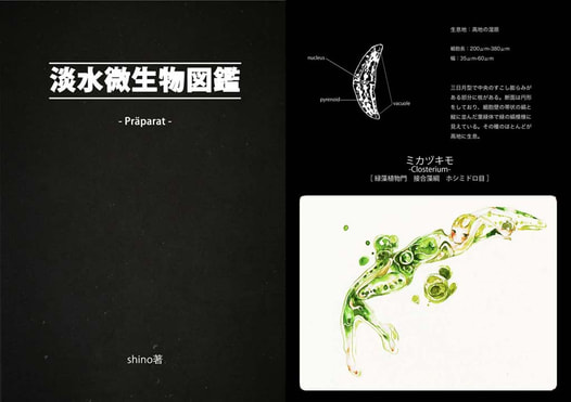 淡水微生物図鑑