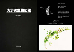 淡水微生物図鑑