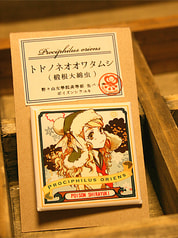 サンプル画像 No.4