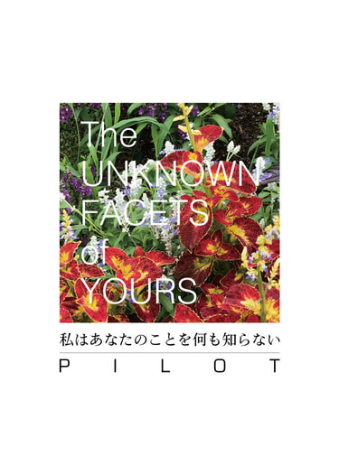 私はあなたのことを何も知らない PILOT