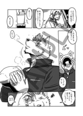 Sample No.3