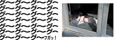サンプル画像 No.5