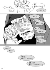 サンプル画像 No.5