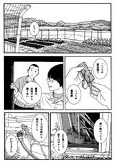 サンプル画像 No.2
