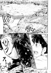 サンプル画像 No.5