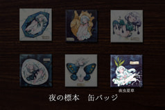 夜の標本缶バッジ「夜虫夏草」【全6種】