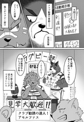 サンプル画像 No.2