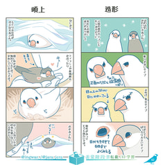 サンプル画像 No.2