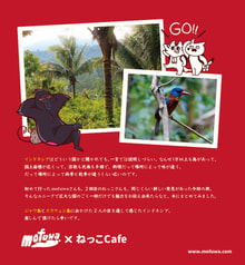 サンプル画像 No.3