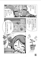 サンプル画像 No.2