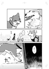 サンプル画像 No.3