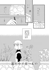 Sample No.5