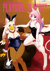 PLAYGIRL & PLAYBOY GIRLS SIDE