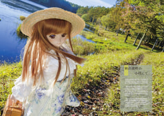 サンプル画像 No.3