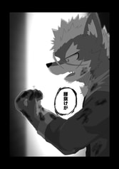 Sample No.4
