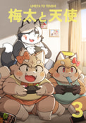 梅太と天使3