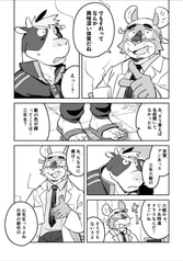 サンプル画像 No.3