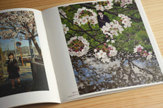 サンプル画像 No.5
